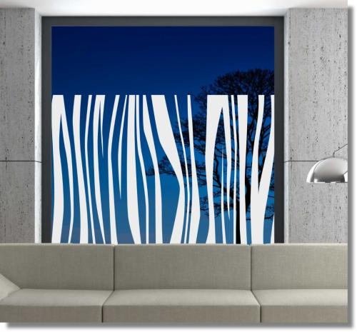 Natur Fauna Zebras